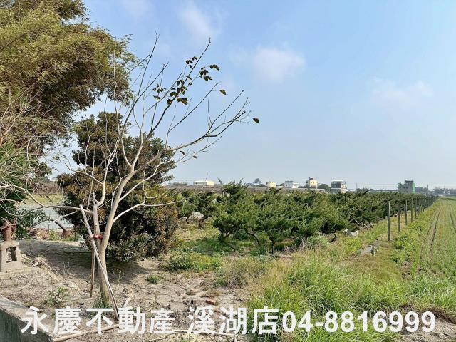 二林農地-7