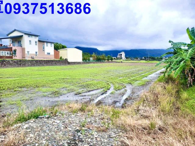 宜蘭三星農地-5