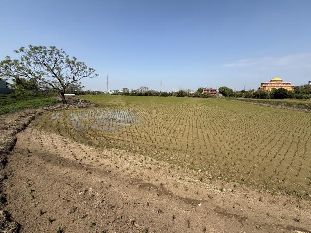 桃園新屋農地-3