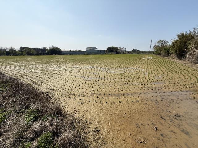 桃園新屋農地-4