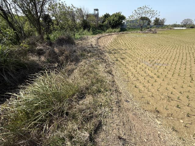 桃園新屋農地-6