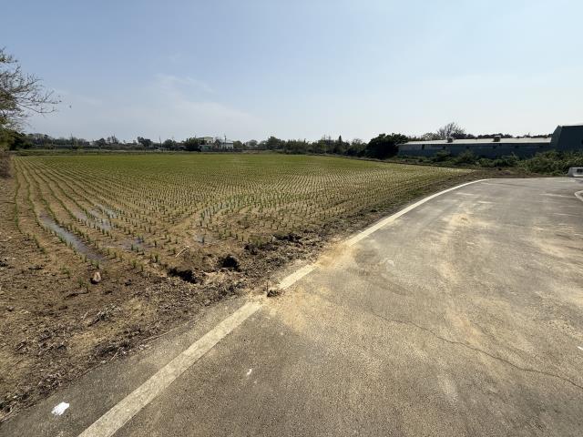 桃園新屋農地-7