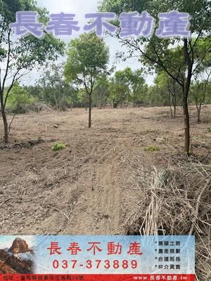苗栗市農地-4