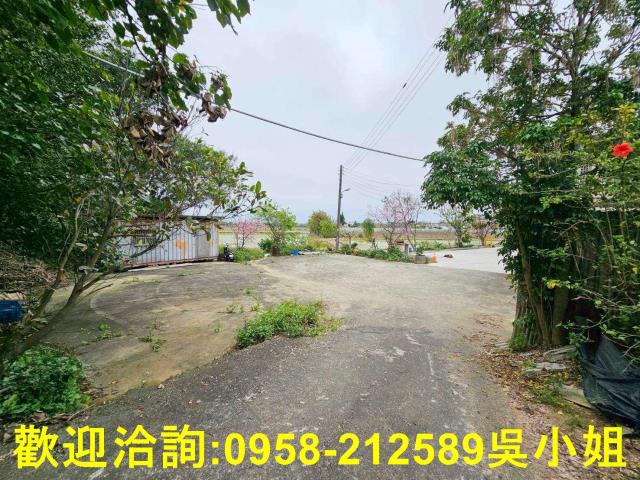 新竹新豐農地-3