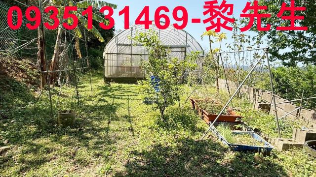 新竹關西農地-5