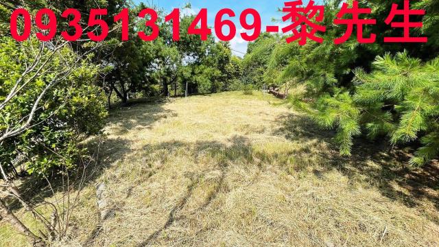 新竹新埔農地-6