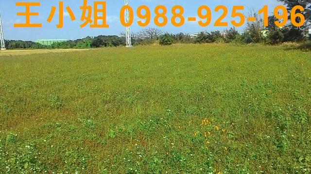 桃園新屋農地-1