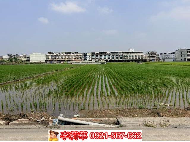 高雄林園農地-4