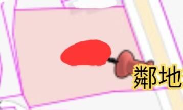 台南新市農地-8