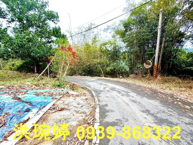 南投國姓農地-2