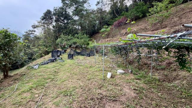 新竹北埔農地-2