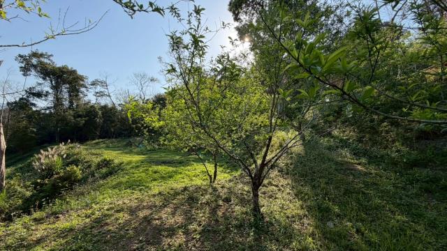 新竹北埔農地-10