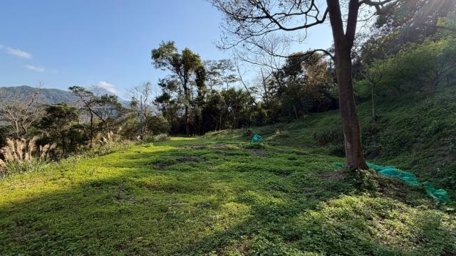 新竹北埔農地-6