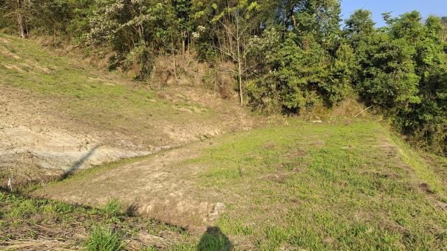 台中東勢農地-8