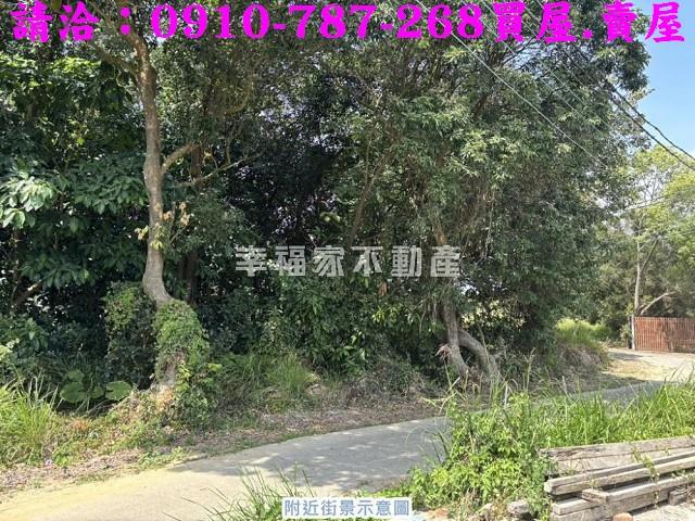 台南關廟農地-12