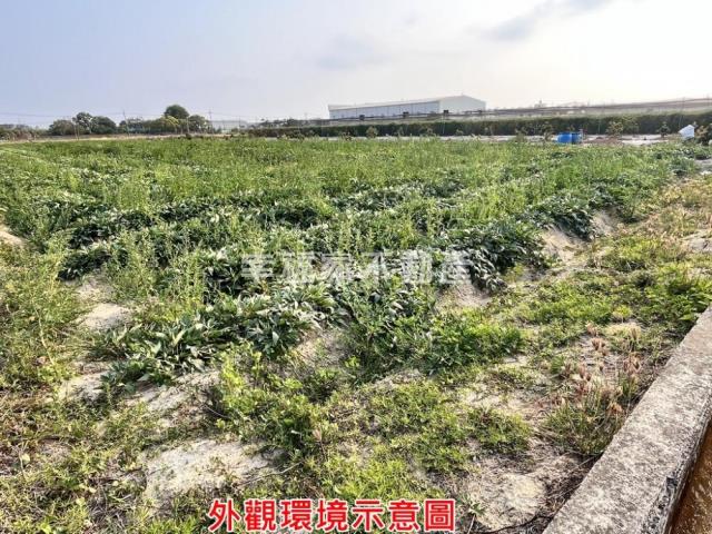 台南新化農地-14