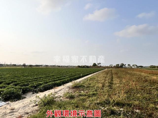 台南新化農地-6