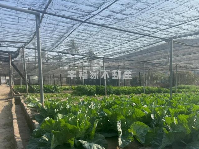 台南南區農地-7