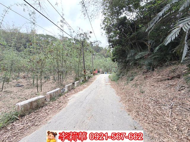 台南新化農地-2