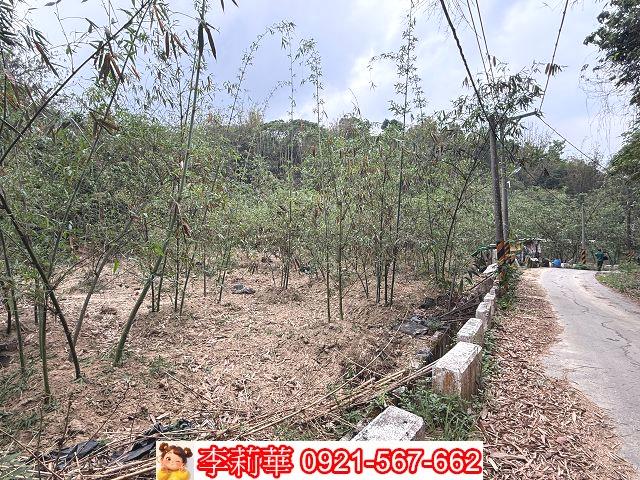 台南新化農地-5