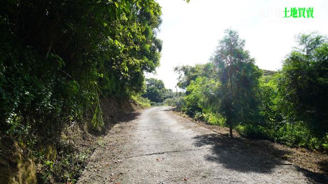 三灣農地-8