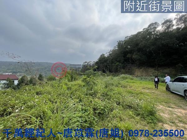 新竹林地-1