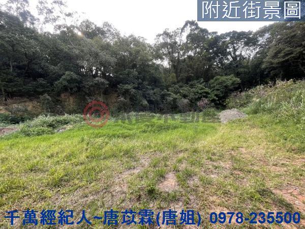 新竹林地-2