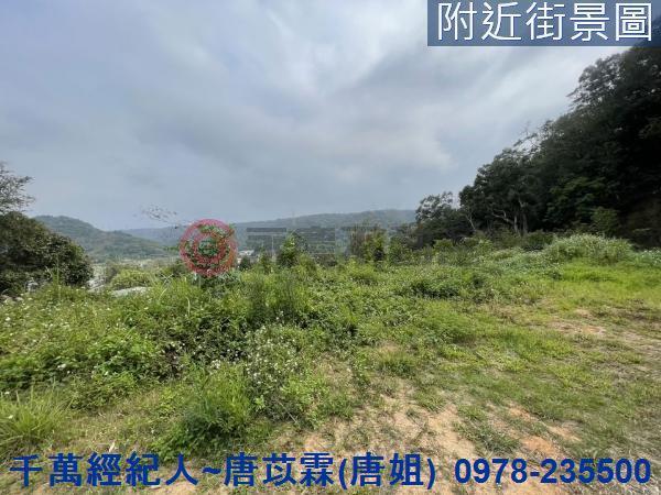 新竹林地-4