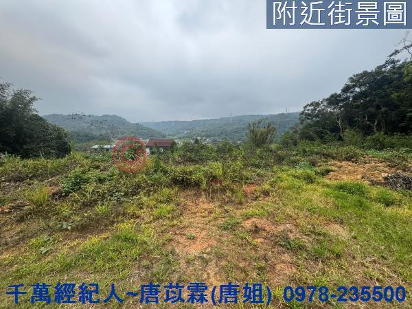 新竹林地-5
