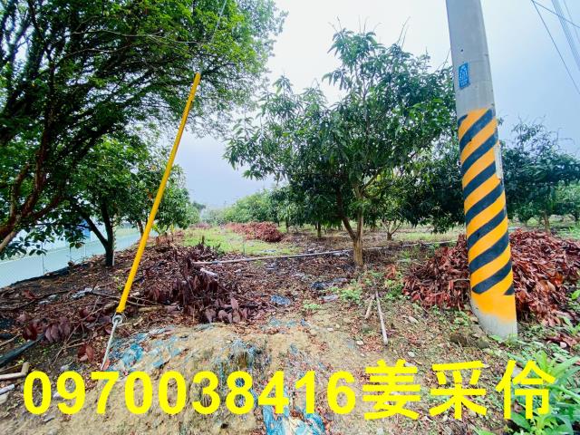 嘉義中埔農地-9