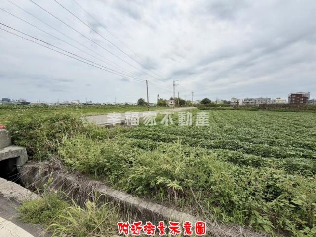 新化農地-13