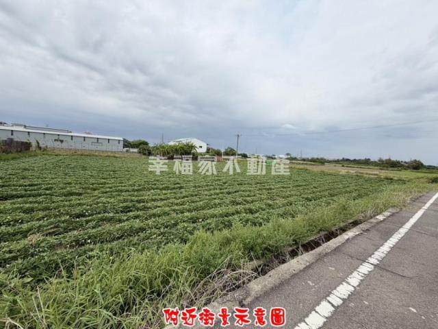 新化農地-6