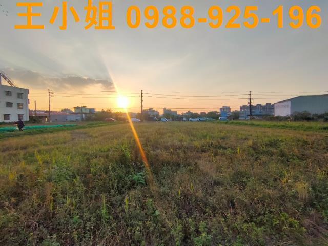 桃園農地-2