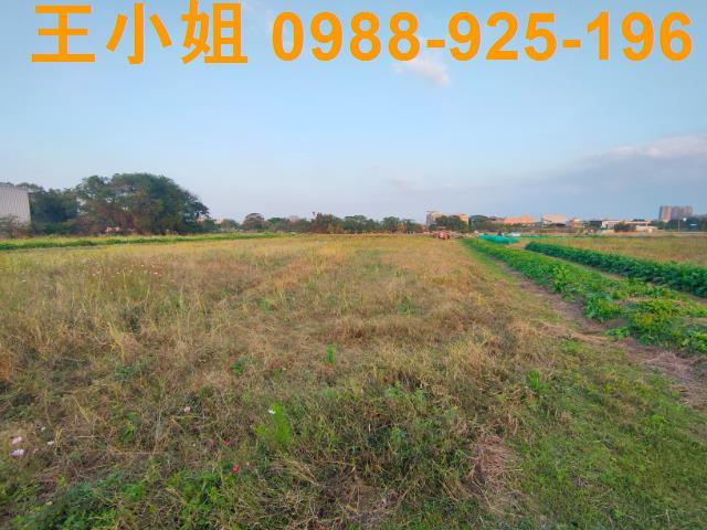 桃園農地-5