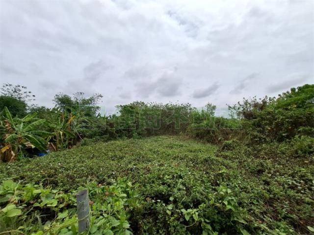 高雄農地-1