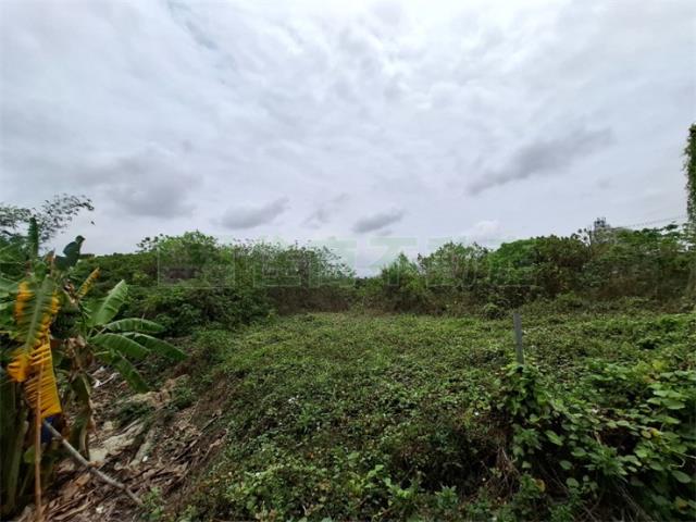 高雄農地-3