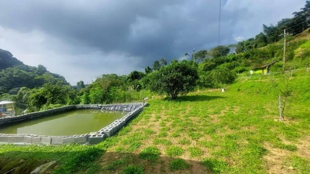 台中東勢農地-8