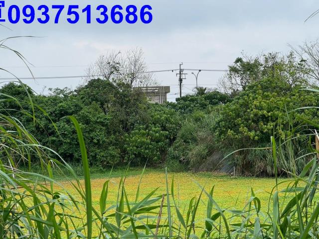 宜蘭壯圍農地-4