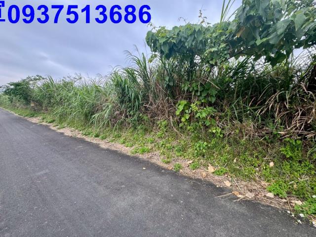 宜蘭壯圍農地-3