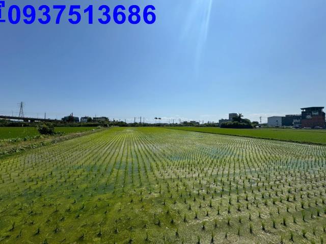 宜蘭宜蘭市工業建地-4