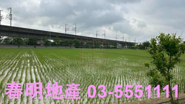 楊梅農地-1