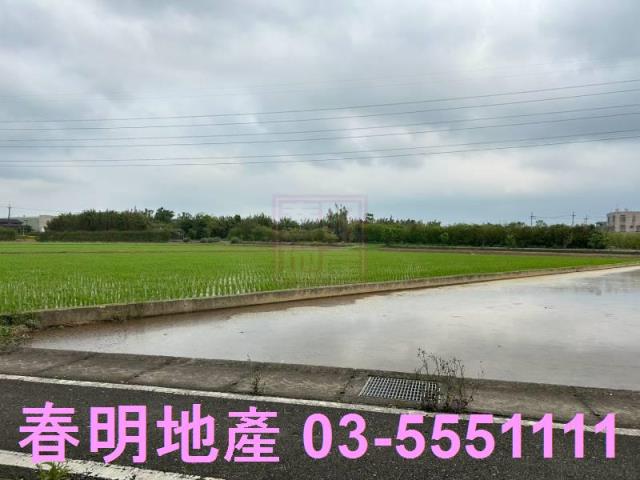 楊梅農地-3