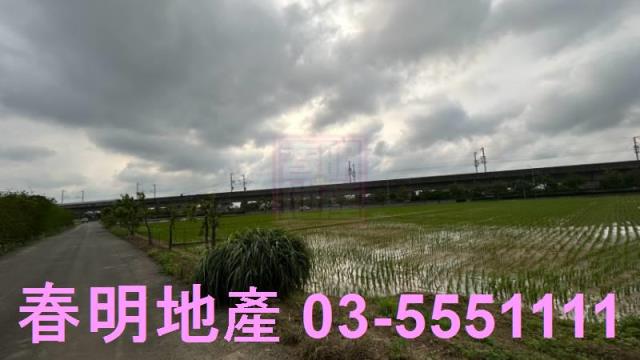 楊梅農地-4