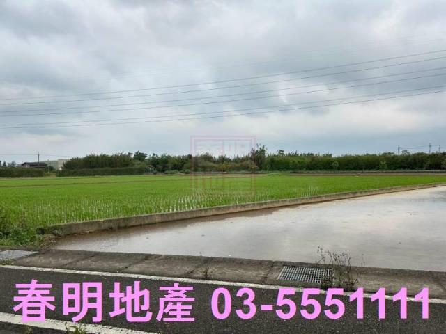 楊梅農地-9