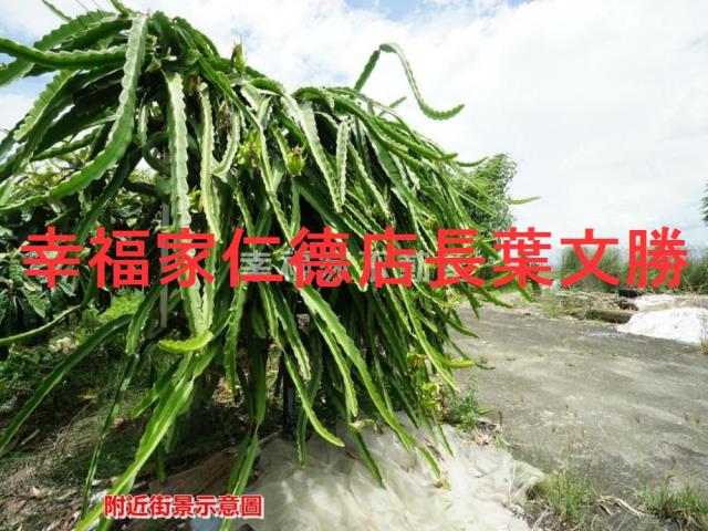 後壁農地-13