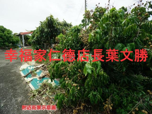 後壁農地-6