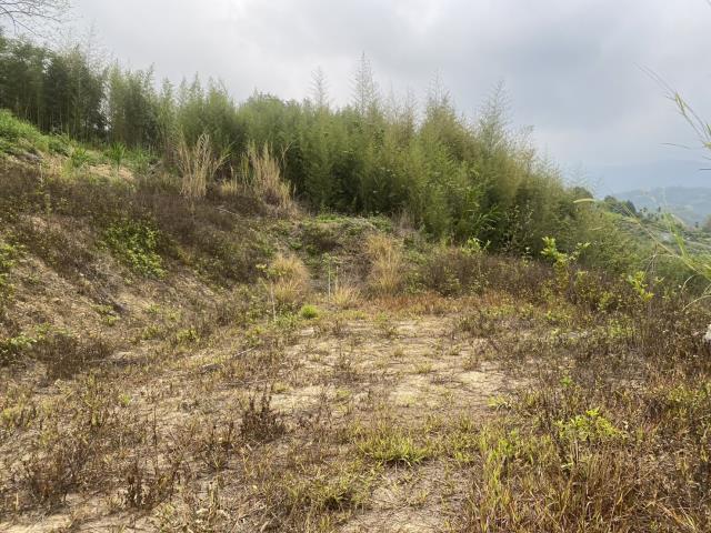 台中東勢農地-8