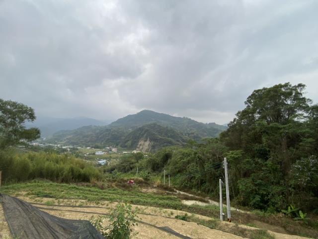 台中東勢農地-6