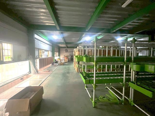 台中大雅農地-10