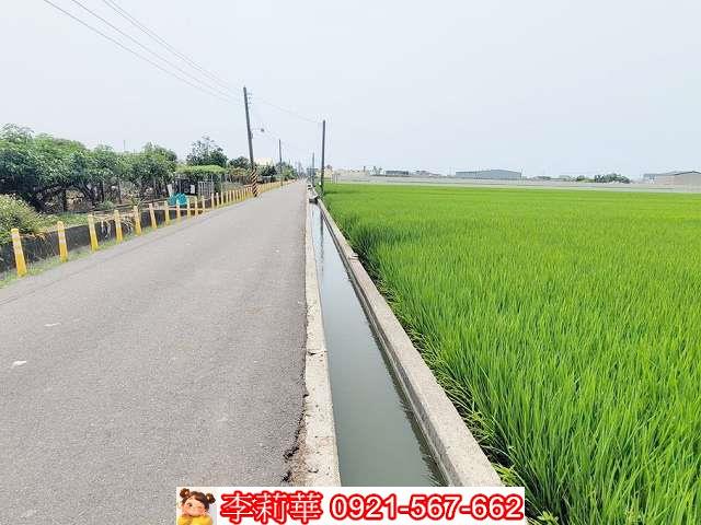 林園農地-3